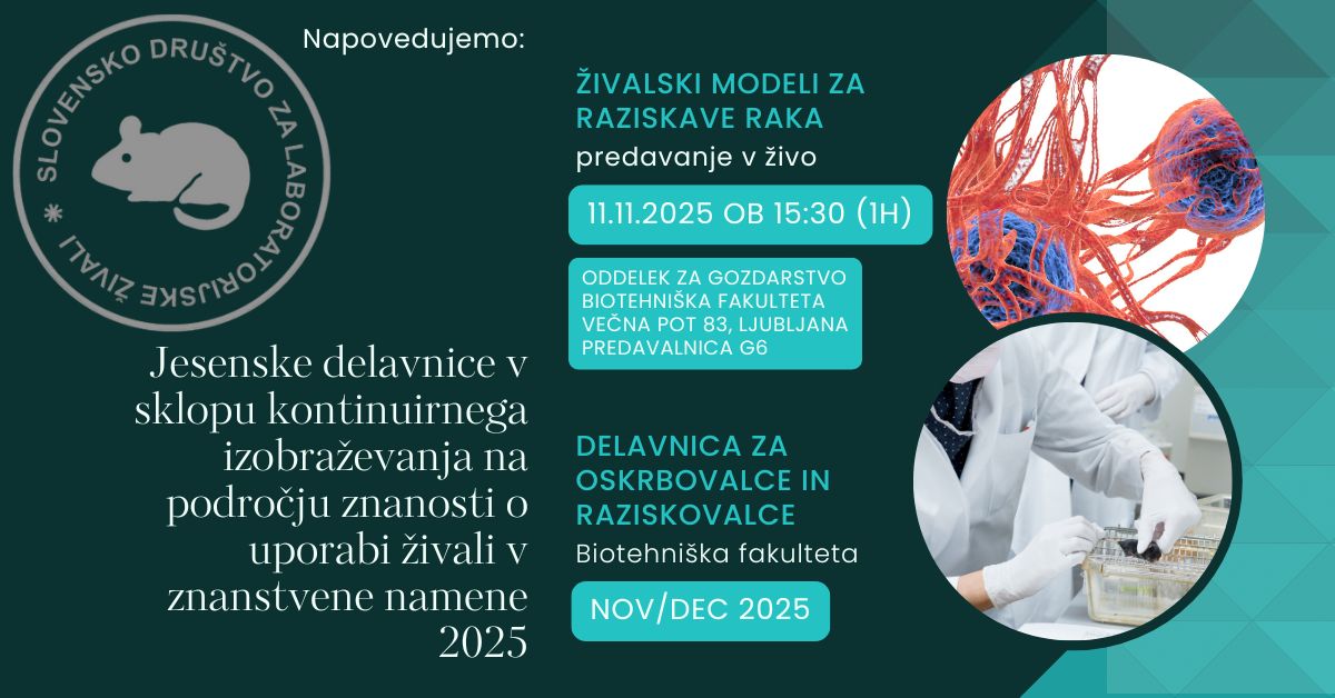 Delavnica 2025 07 Vabilo